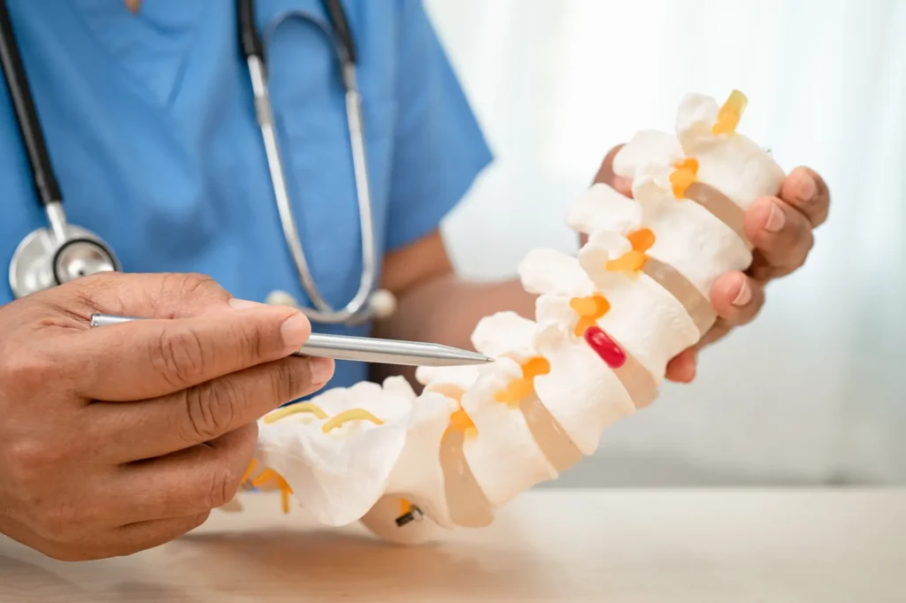 doctor with lumbar vertebra